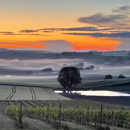 Paradis Des Vignes * Birac (Charente)