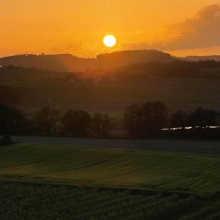 Paradis Des Vignes *