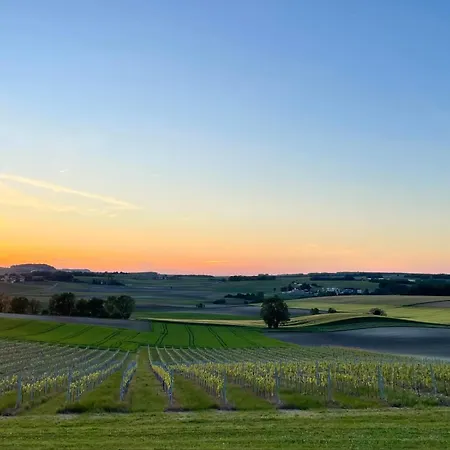 Paradis Des Vignes Hotel