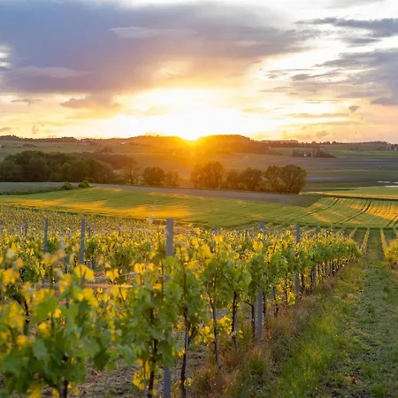 Paradis Des Vignes Hotel *