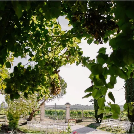 Paradis Des Vignes فندق *