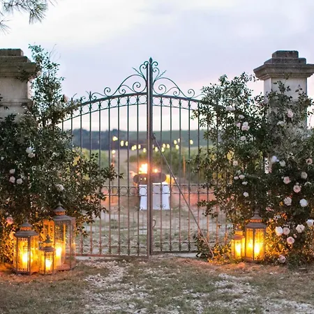 Paradis Des Vignes * Birac (Charente)