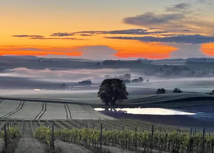 Paradis Des Vignes * Birac (Charente)