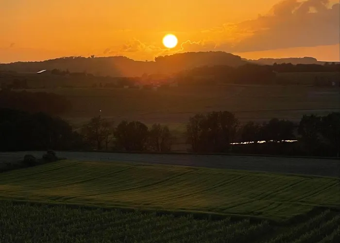 Paradis Des Vignes *