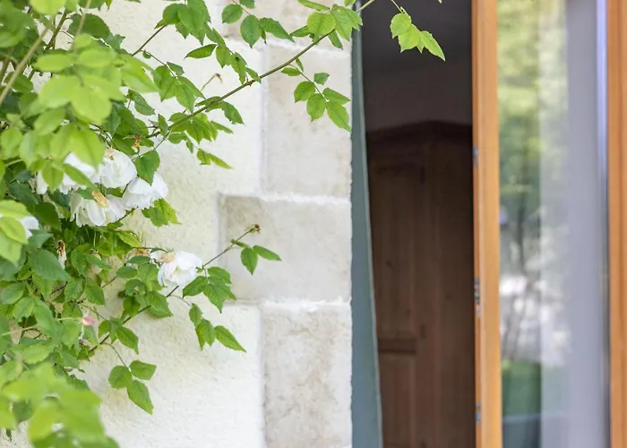 Hotel Paradis Des Vignes Birac (Charente)