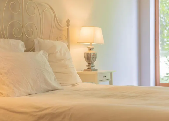 Paradis Des Vignes * Birac (Charente)