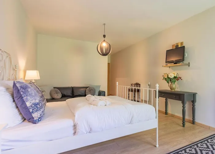 Paradis Des Vignes * Birac (Charente)