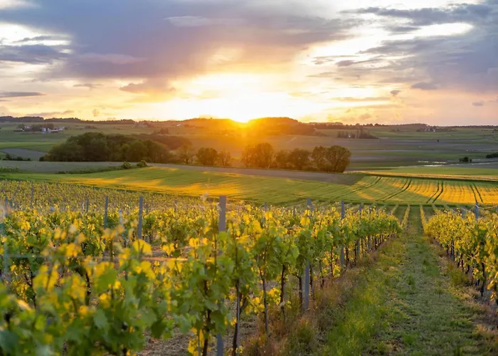 Paradis Des Vignes Hotel *