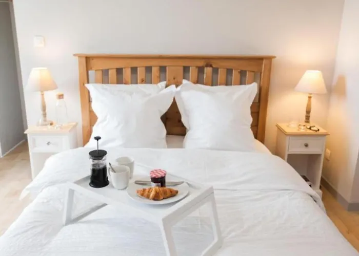 Paradis Des Vignes * Birac (Charente)