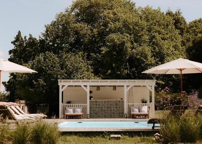 Paradis Des Vignes *